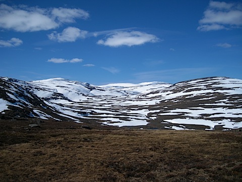 Abisko Juni 2009 dag 4 - 18.jpg